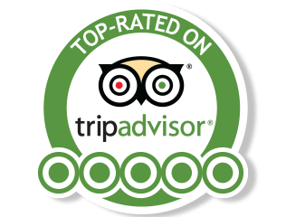 tripadvisor logo